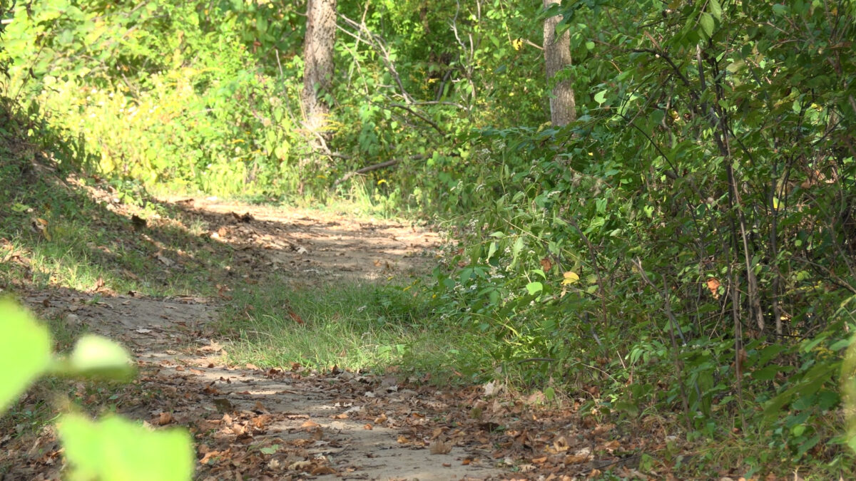 Copperhead snakes more active around River Bluff Trails Park