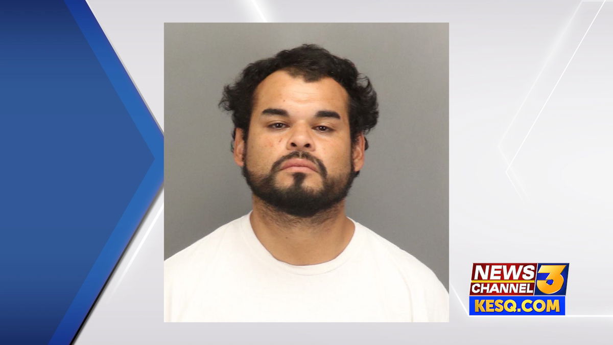 Parolee charged with trying to kill realtor