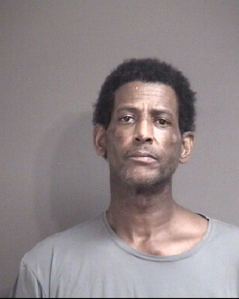 Police use Taser on man accused of assaulting woman