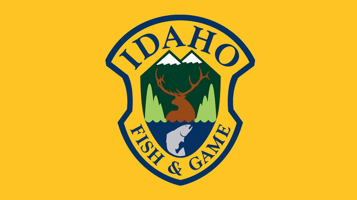 Idaho Fish and Game issues salvage order for Upper Snake and Southeast Canals