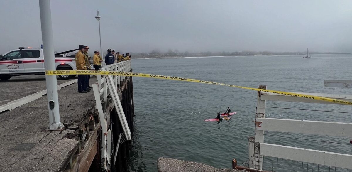 The Santa Cruz Fire Department said crews extricated one person and a dog after the vehicle they were in went off the municipal wharf.