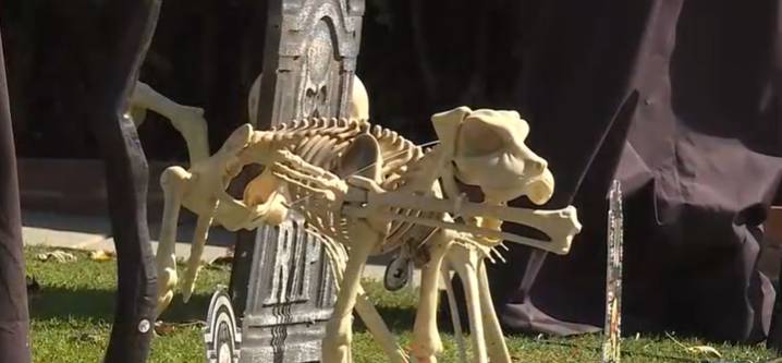 Ring camera footage shows a woman lightly jogging past the house's front yard before turning back