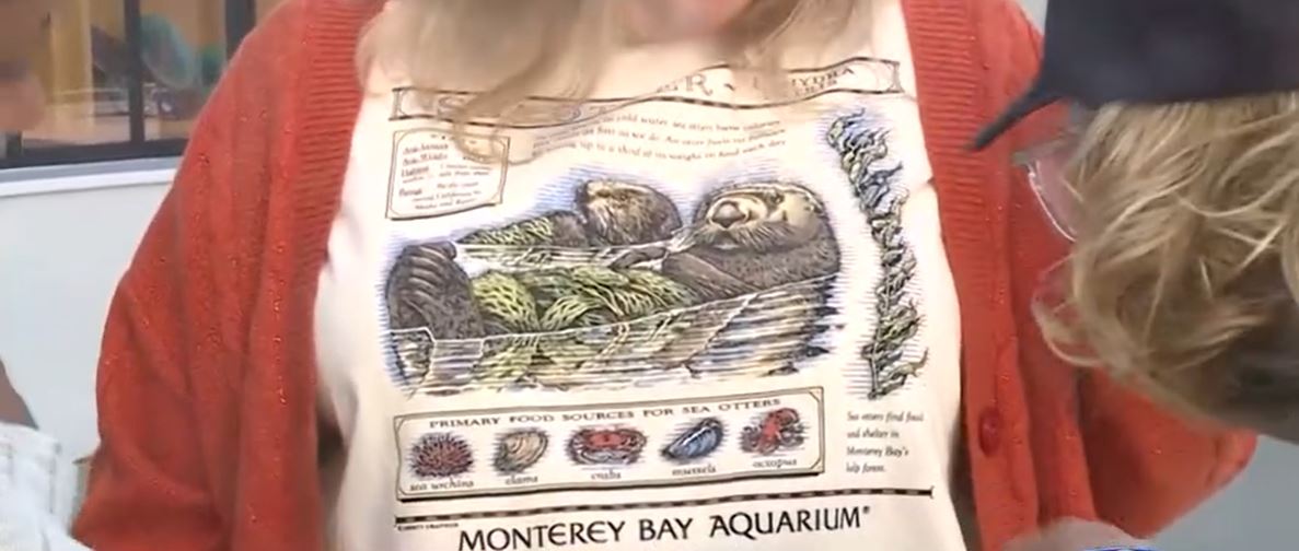 Leave it to fans of Taylor Swift to bring a classic 32-year-old Monterey Bay Aquarium T-shirt back to life. Liz MacDonald