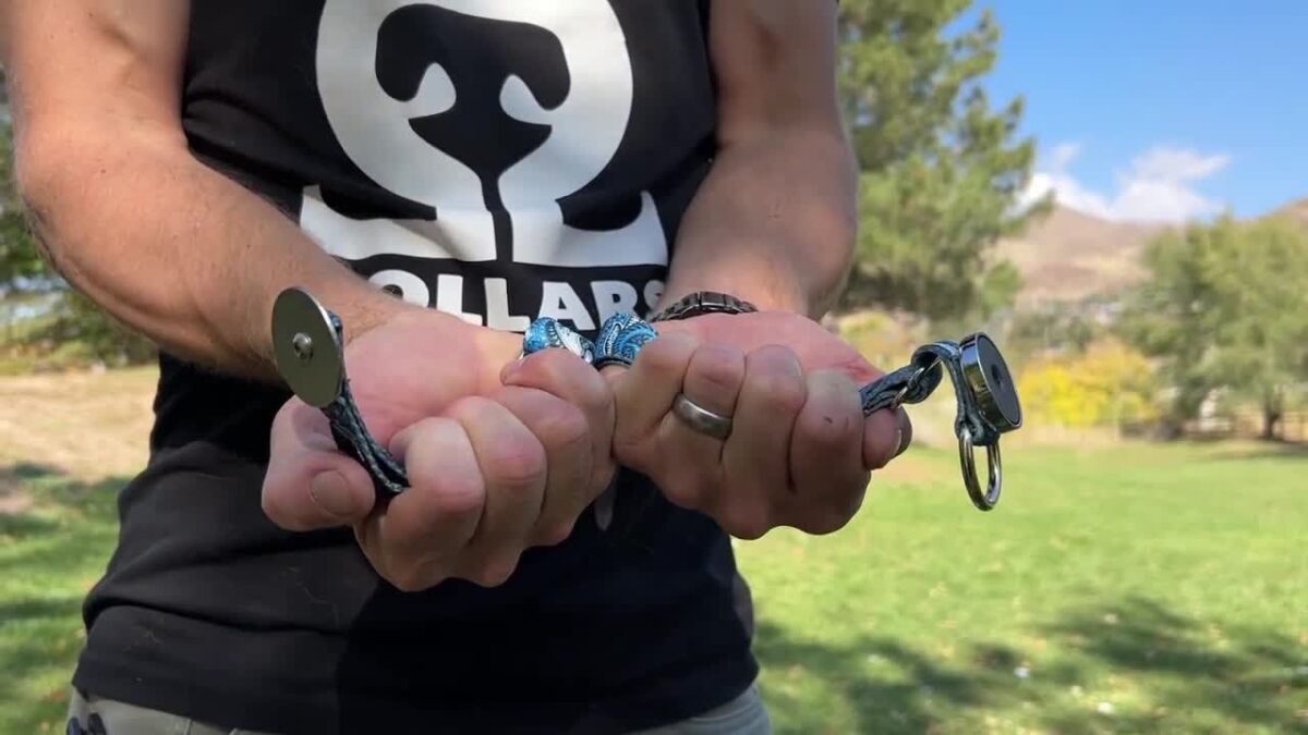 Dog owners Jason and Hailee Martin created breakaway collars designed to pop apart under pressure; they say the collars prevent severe injuries.