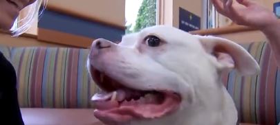 The new kind of treatment places radiation directly into cancerous tumors