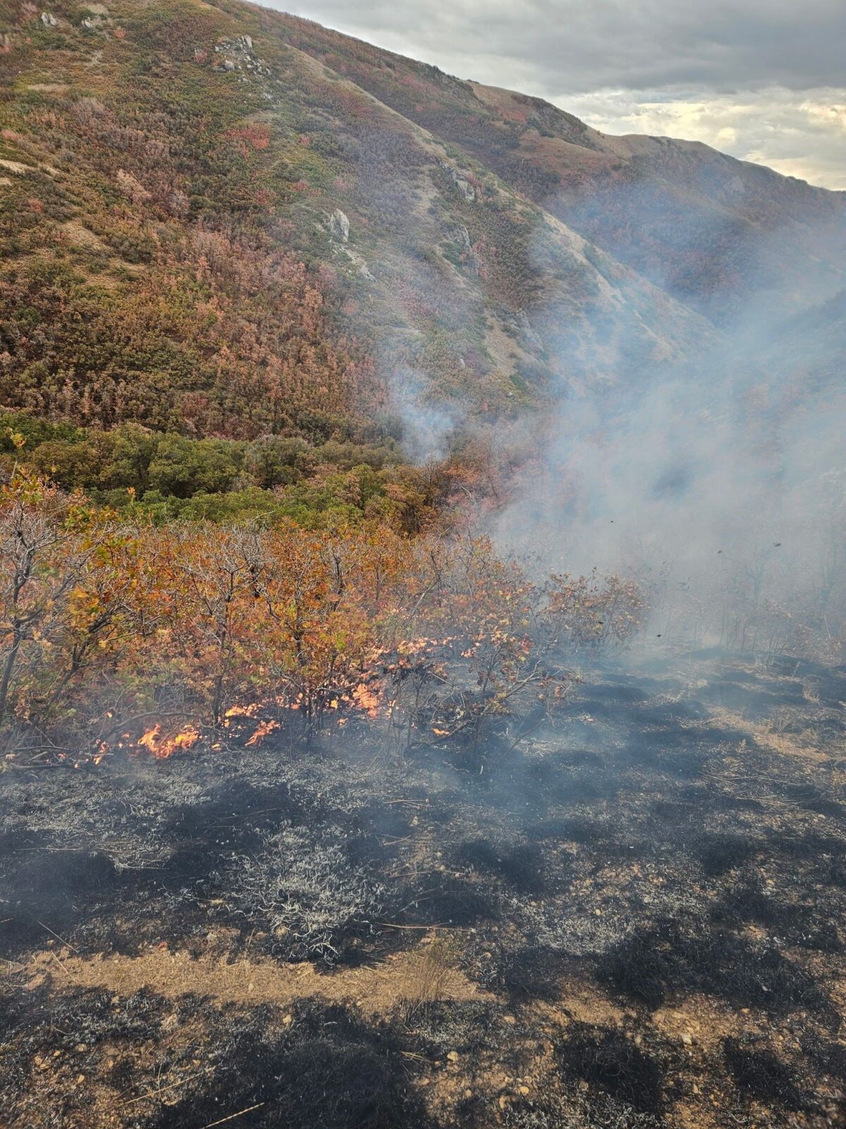 No structures are currently threatened