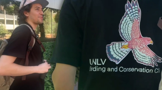 A UNLV student-led conservation effort addresses a billion-bird problem with vinyl dot screens at campus hot spots.