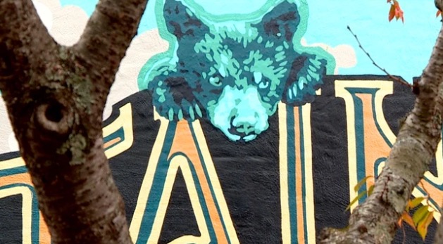 A unique mural in Black Mountain is drawing lots of attention to local shops ahead of a new art gallery’s grand opening.