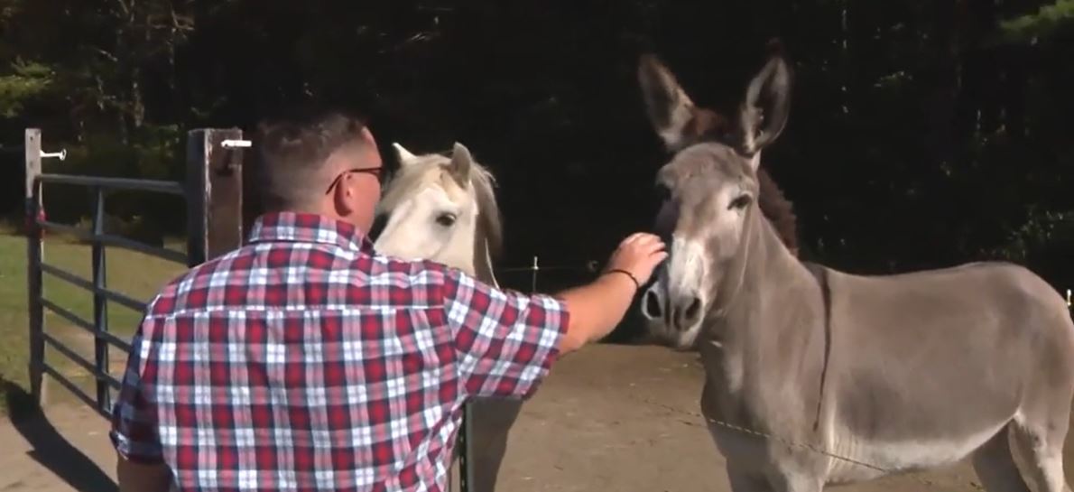 Men struggling with substance abuse and mental health issues are finding their road to recovery through a farm in Gardner
