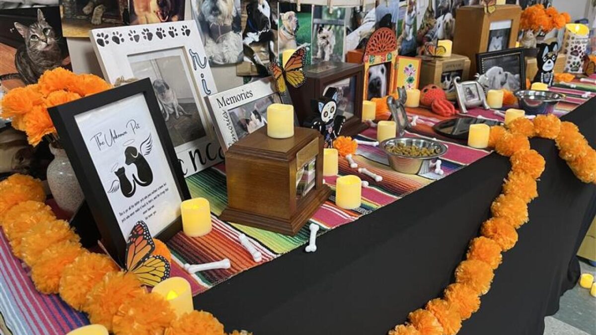 Elizabeth Buckles tells LEX 18 she started an ofrenda in January of last year when her dog died. She brought the ofrenda into the clinic this year and added in clients' pets.