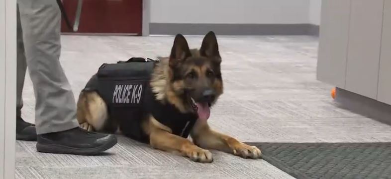 Florence Police K-9