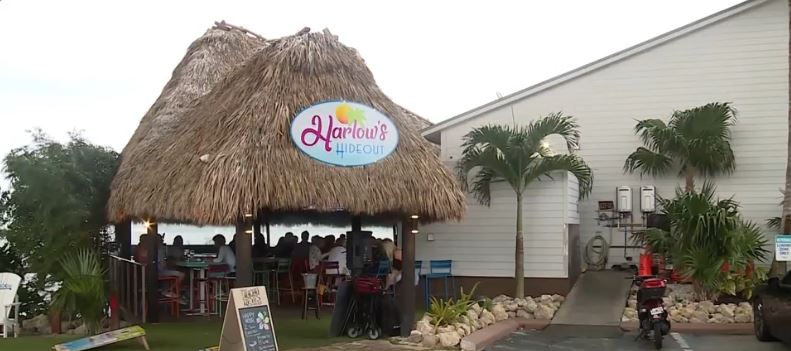 Staff and customers at a Stuart restaurant were surprised by an uninvited guest Monday afternoon when a gator was spotted just a few feet away from the front door.