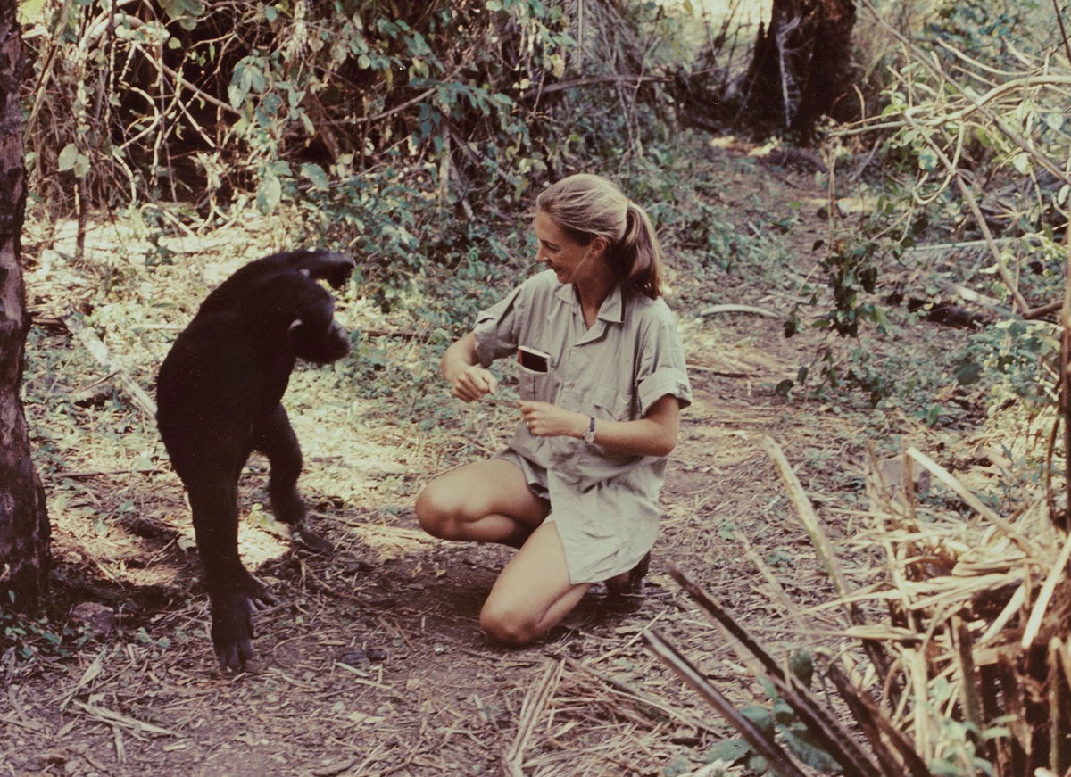 Conservationist Jane Goodall