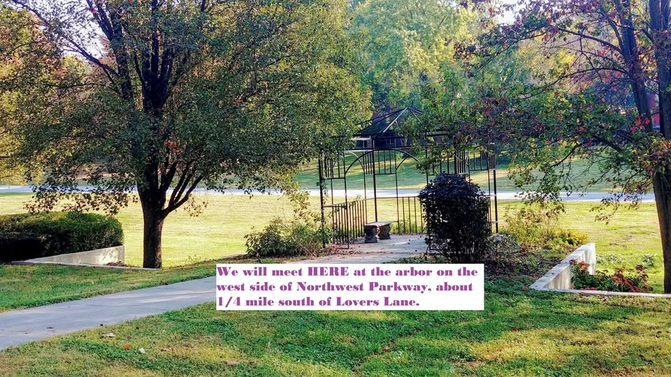 Persisterhood celebrates 100 trees with walk and dedication