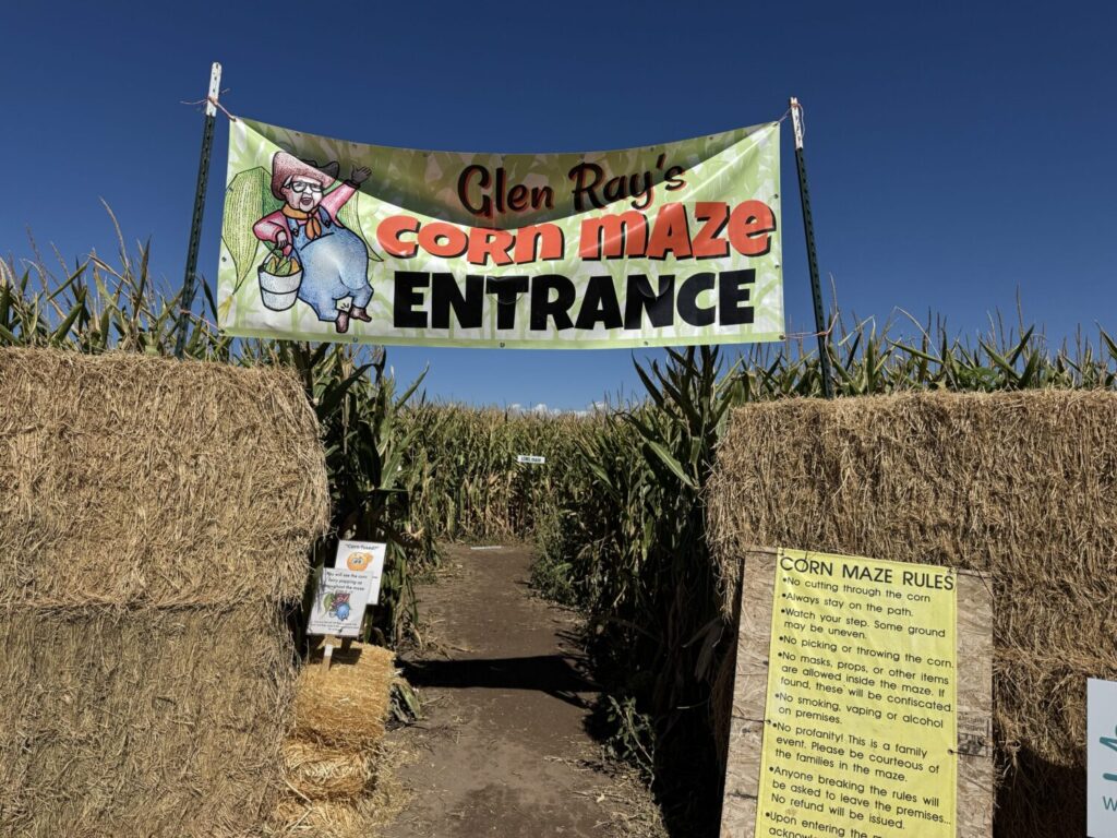 Glen Ray’s Corn Maze and Pumpkin Patch is seen on Wednesday