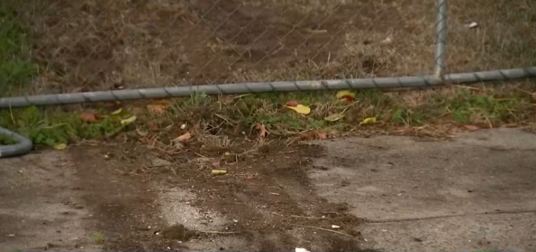 Sacramento police chase ends in tragedy: Innocent father critically hurt after car crashes into home.