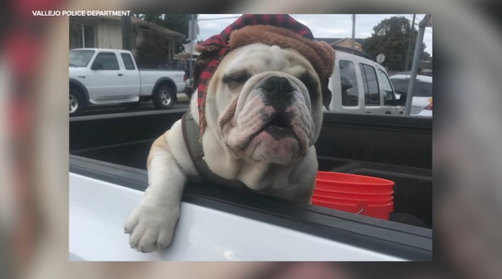 Police say Tyson was taken by two armed robbers