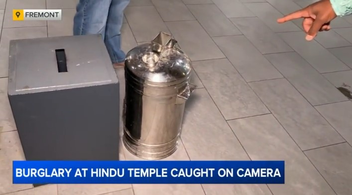 "This is what they took - about seven of them