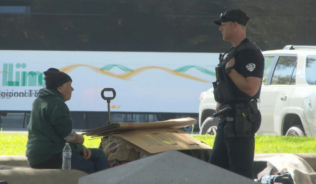 The North State Shelter Team is proposing a pilot program that would place tiny homes in church parking lots to house elderly women experiencing homelessness.