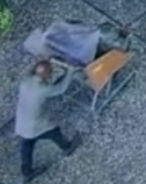 Police in San Jose are searching for at least two suspects after a sculpture gifted to the city from Japan has been stolen from a city park in downtown last month.