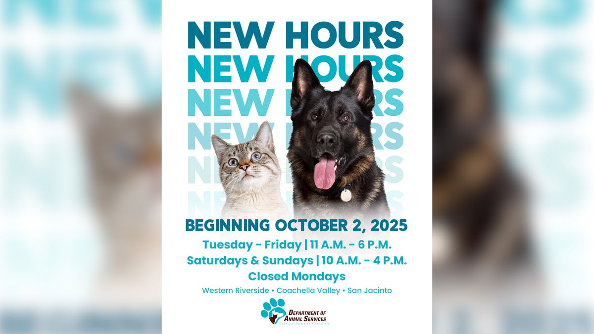 County changes animal shelters’ operating hours to encourage adoptions