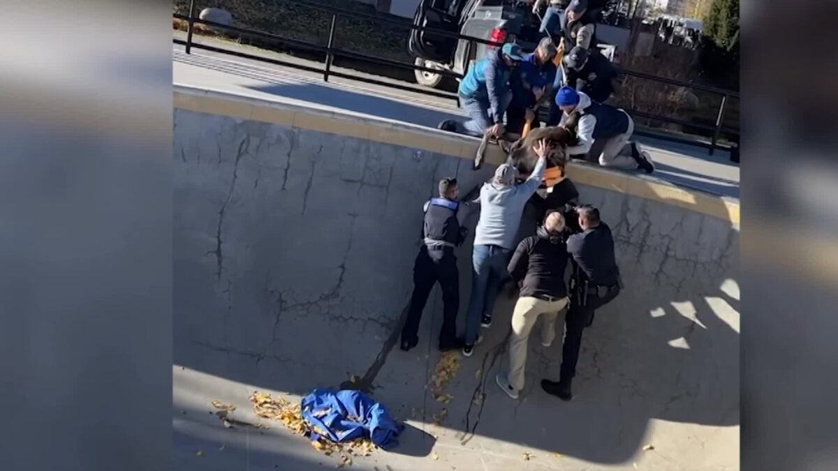 Wildlife meets halfpipe: CPW