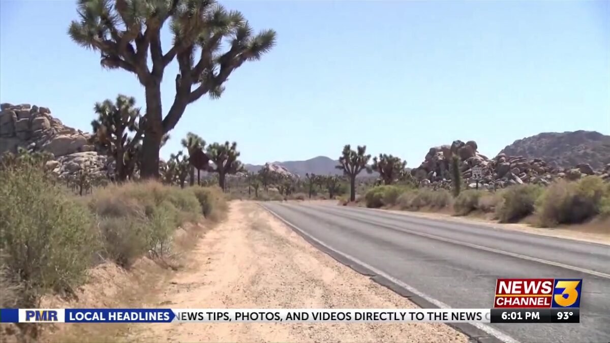 How Joshua Tree National Park is being affected by government shutdown