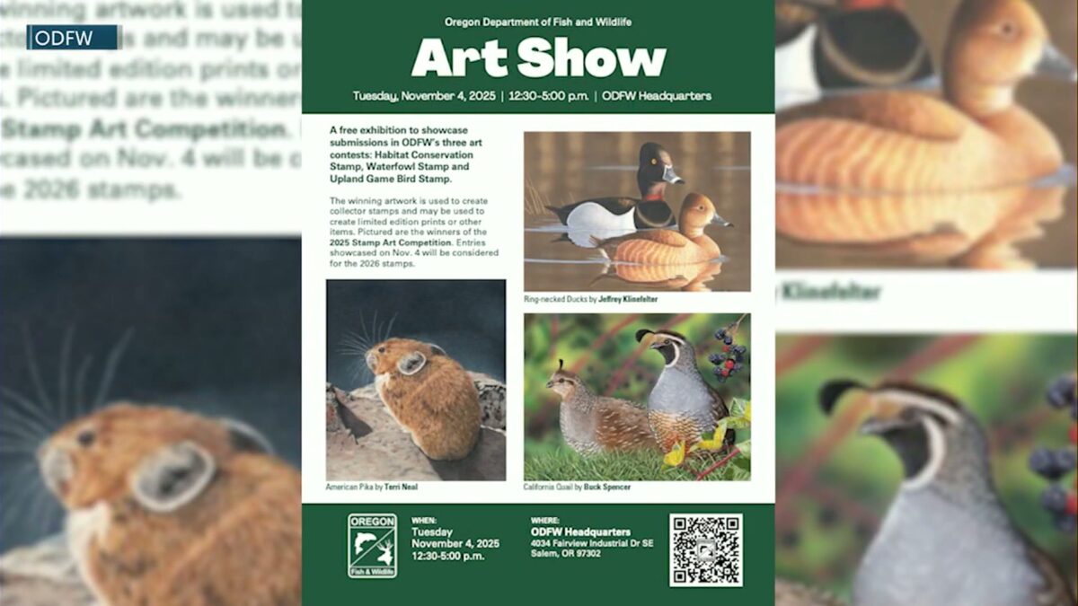 CAST YOUR VOTE: ODFW to hold public viewing of annual stamp art contest submissions