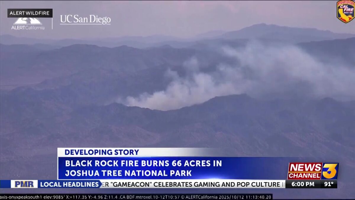 Black Rock Fire burns in Joshua Tree National Park