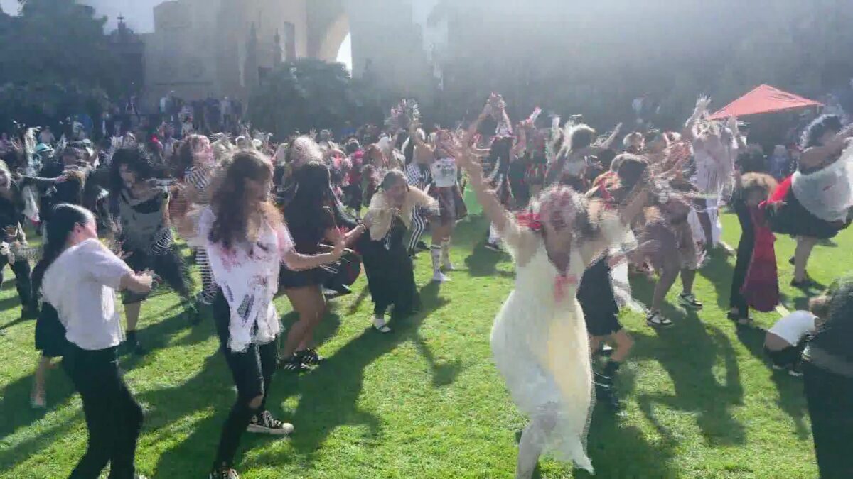 Thriller dancers take part in Thrill the World