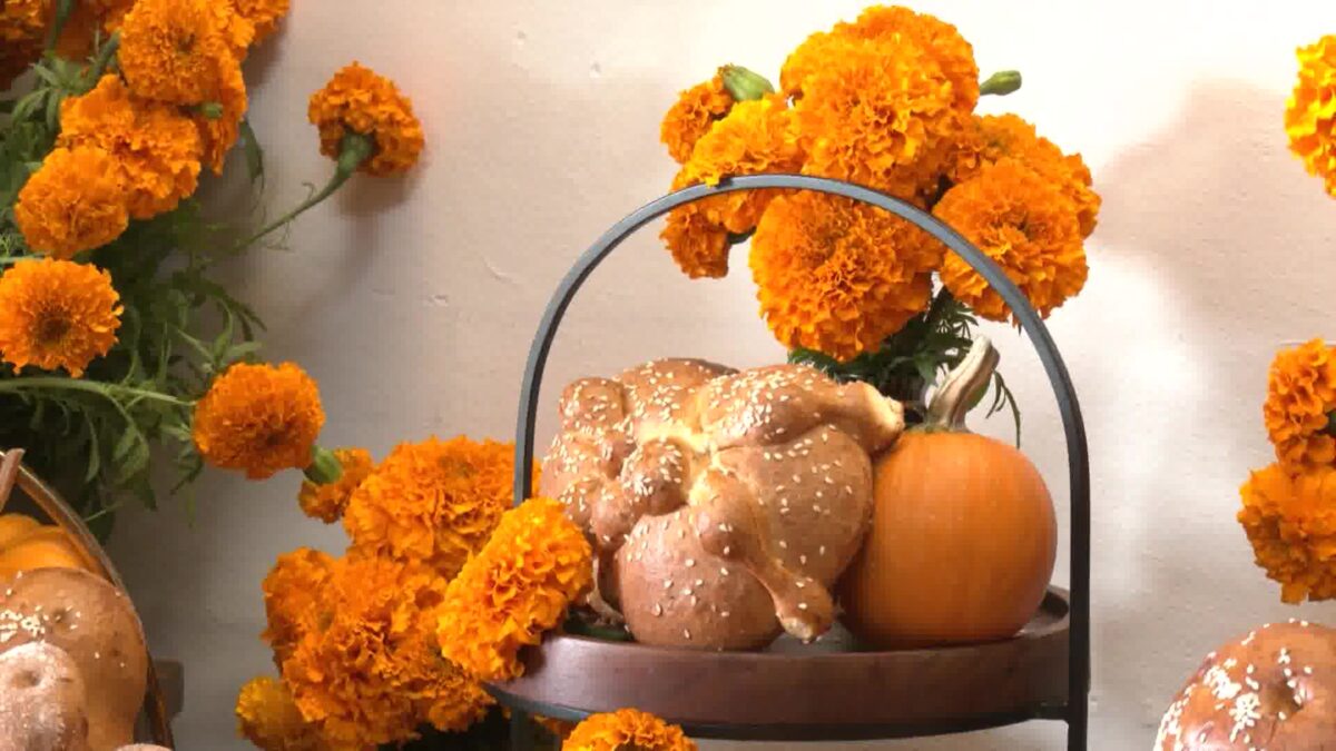 Cristino’s Bakery Shows The Morning News Why Bread is So Special for Día De Los Muertos