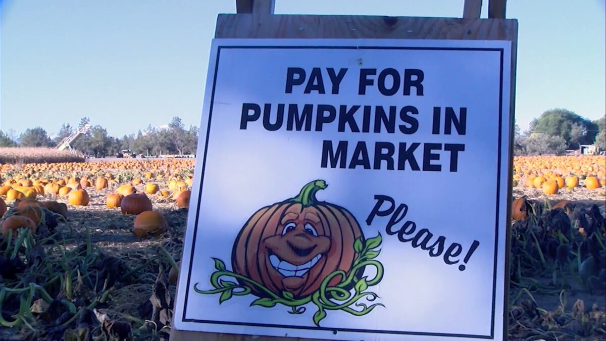 Central Oregon spots to pick out a pumpkin and celebrate the fall season