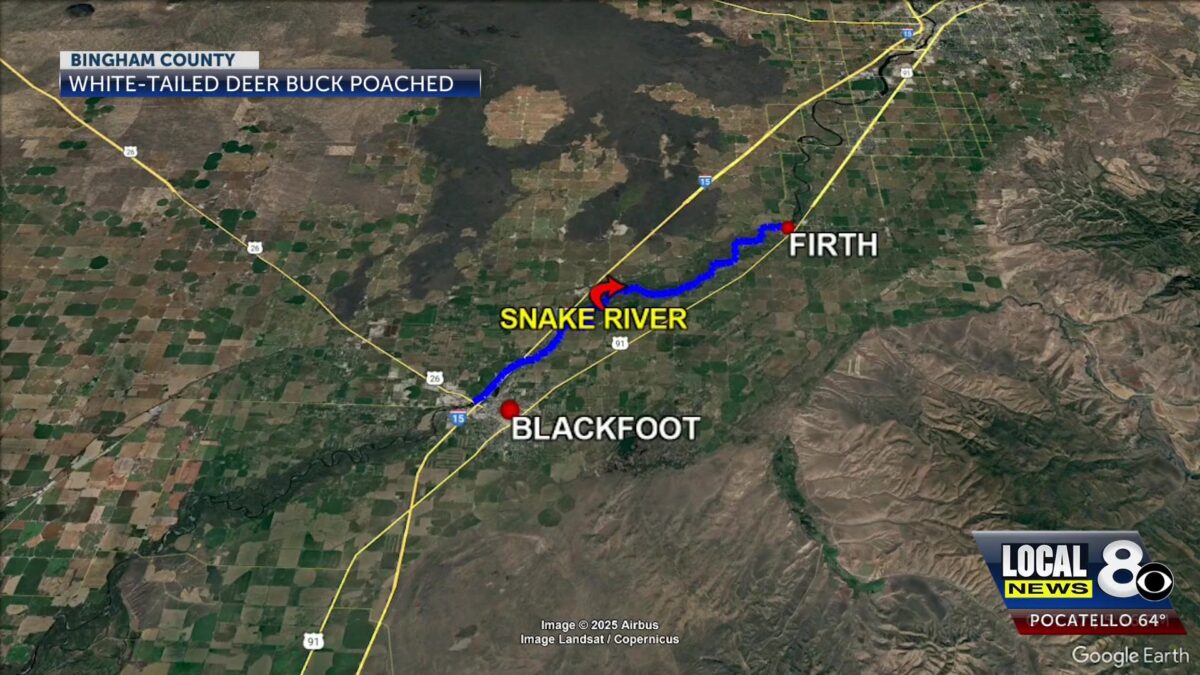 Idaho Fish and Game seeks tips: Poached deer carcass found wasted in Southeast Idaho