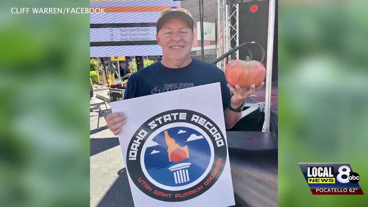 From pumpkins to tomatoes: Chubbuck gardener grows record-breaking produce