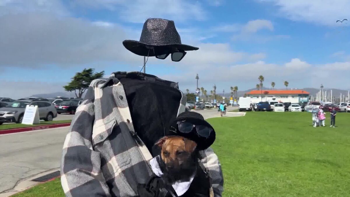 Howl-O-Ween Costume Contestants include Invisible Man and Dog