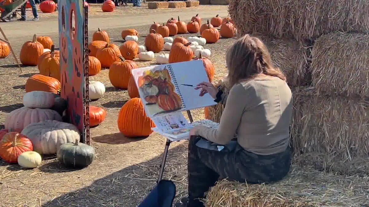 Plein Air Artists find inspiration at Great Pacific Pumpkins