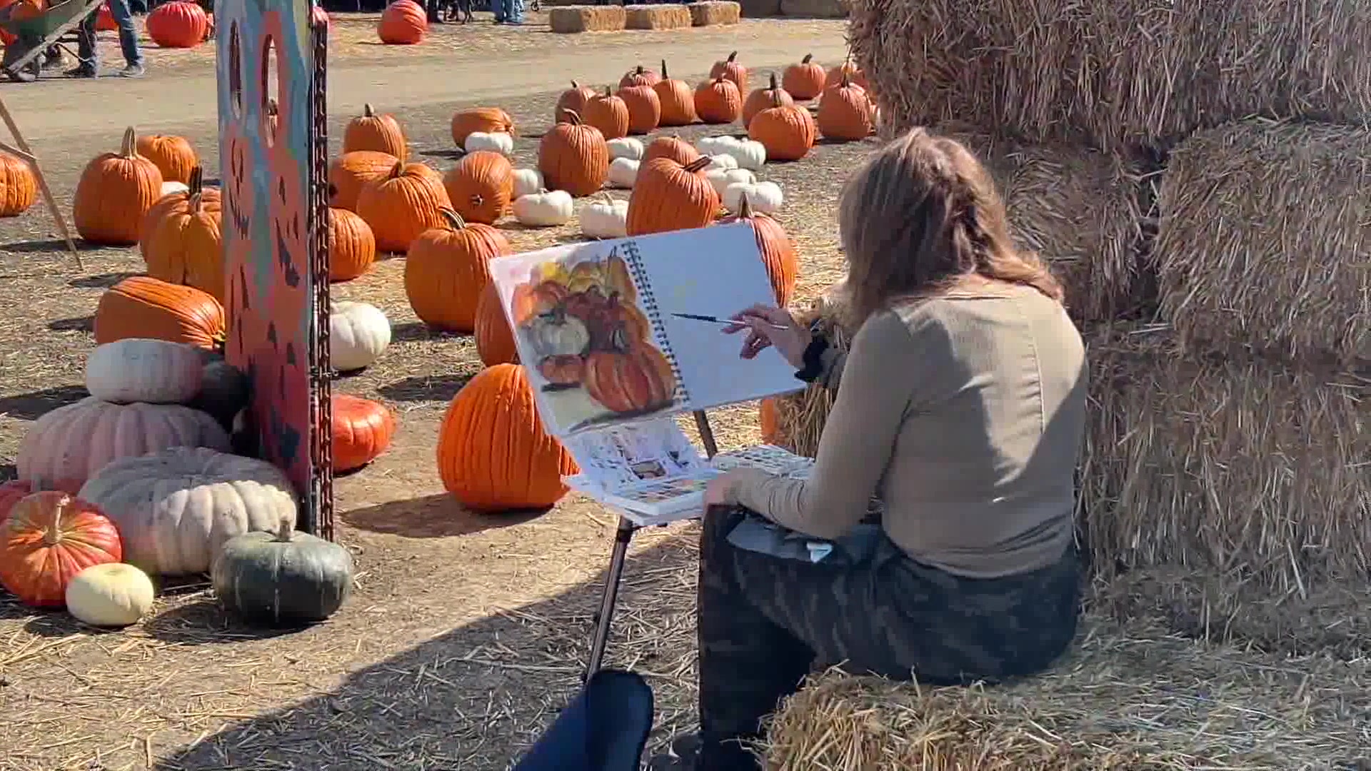Plein Air Artists find inspiration at Great Pacific Pumpkins