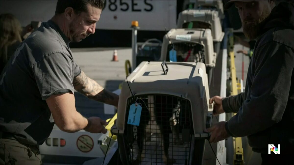 Local artist recognized in Vogue Magazine