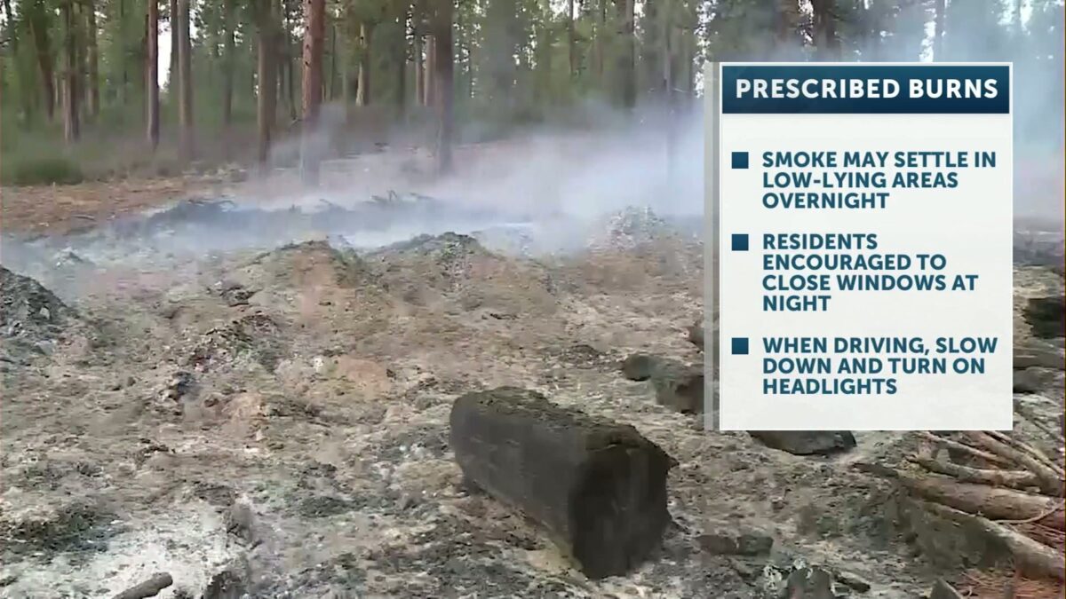 BLM begins proactive wildfire mitigation work through prescribed burns