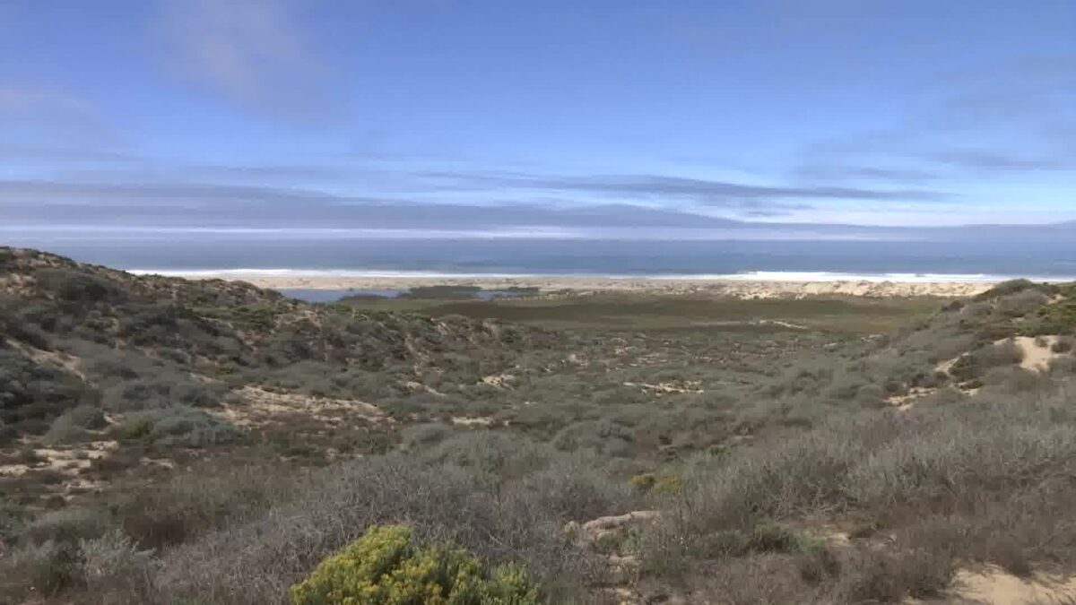 Public May Gain Greater Access to Guadalupe Dunes after Chevron Land Donation