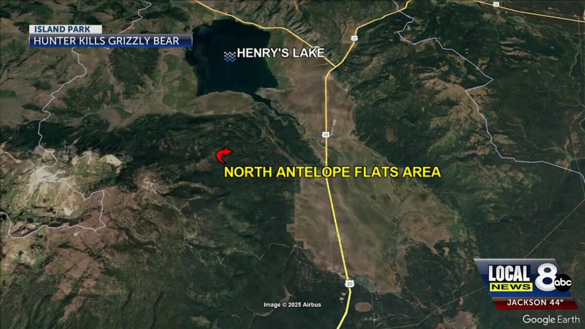 Big Game hunter kills charging grizzly bear in self-defense near Island Park