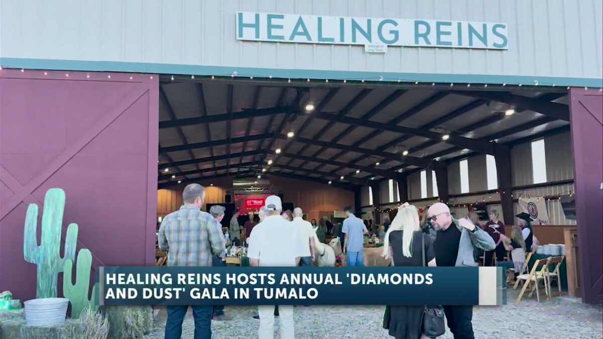 Healing Reins 26th annual ‘Diamonds and Dust’ fundraising gala welcomed hundreds of guests