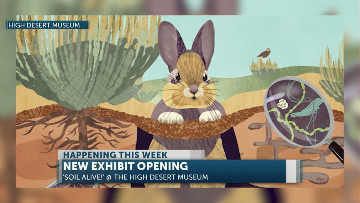 ‘Soil Alive!’: High Desert Museum’s new exhibit invites visitors to journey underground