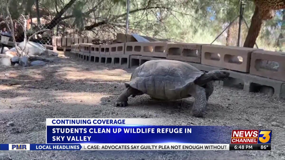 Kiwanis Club of Palm Springs cleans up Sky Valley animal sanctuary