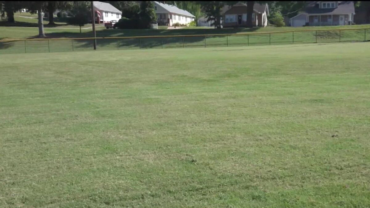 Baseball field renovations to take place at Hyde Park