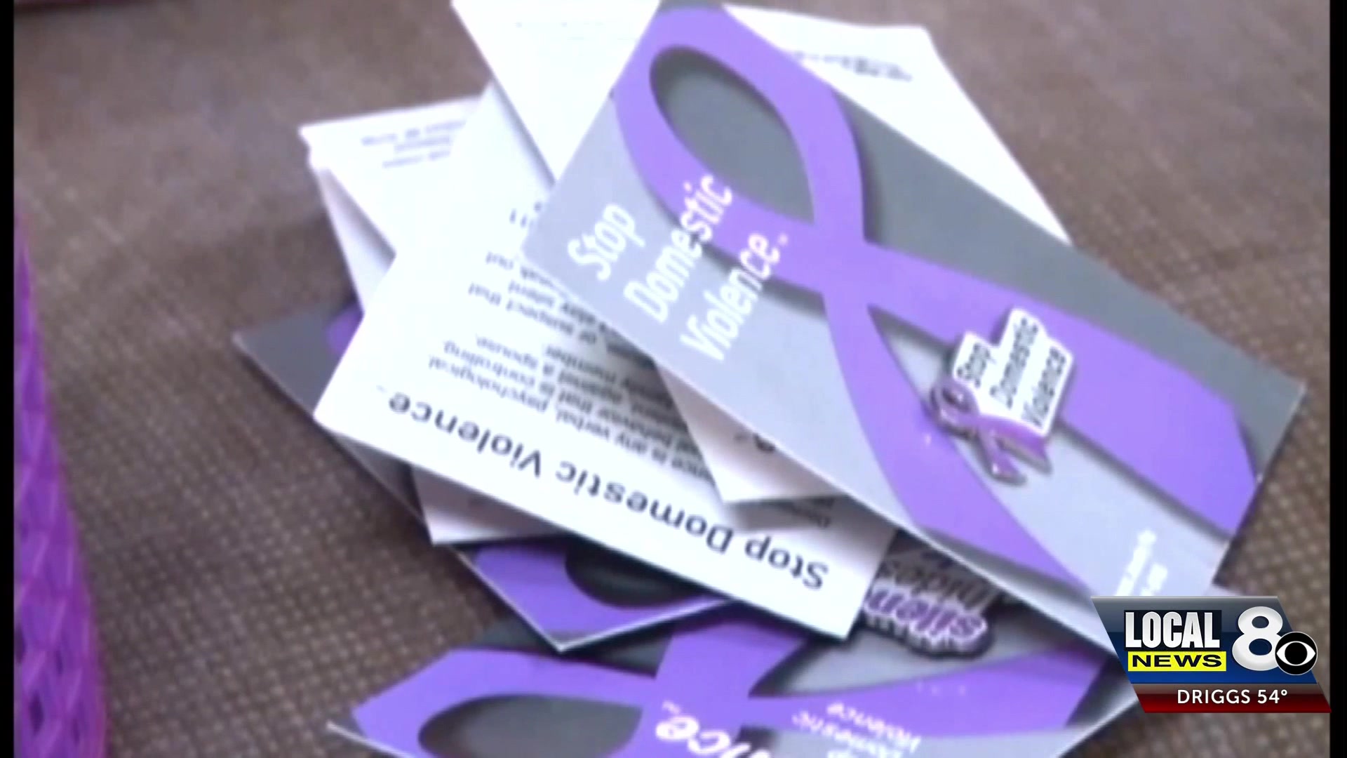 Family Services Alliance provides help for domestic violence victims in Southeast Idaho