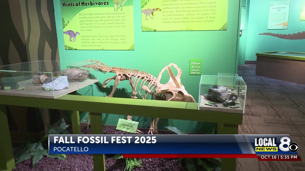Fall Fossil Fest set to begin at Idaho Museum of Natural History
