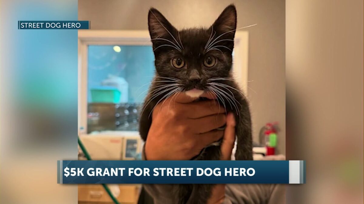 Street Dog Hero receives $5