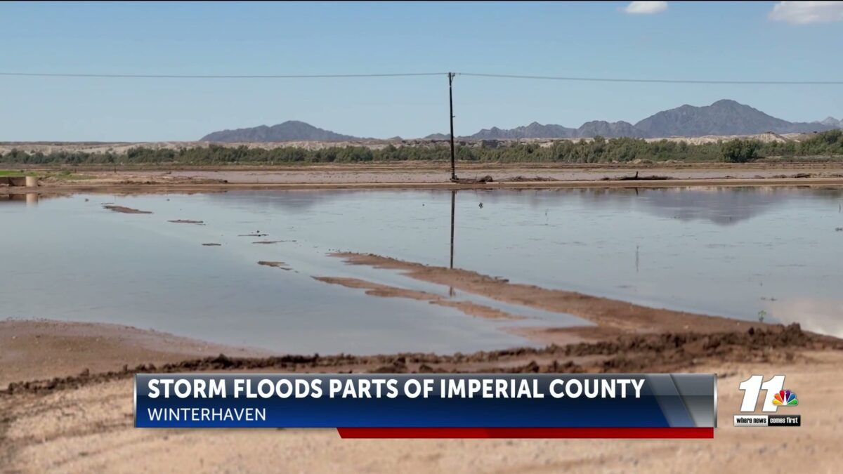 Heavy rain floods parts of Winterhaven