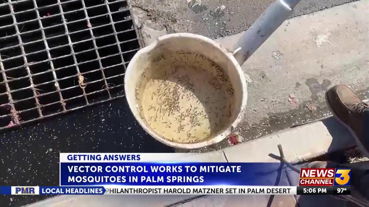 Palm Springs treatments start by Valley mosquito